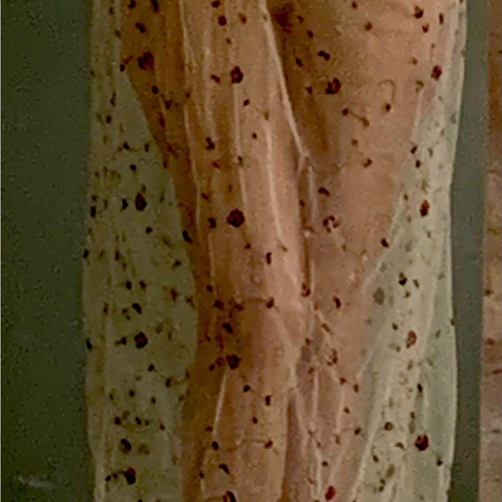 Sheer Floral Embroidered Maxi Column Naked Dressing Skirt